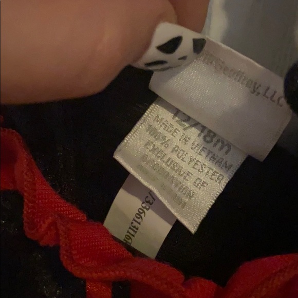 Butterfly Costume - Picture 2 of 3